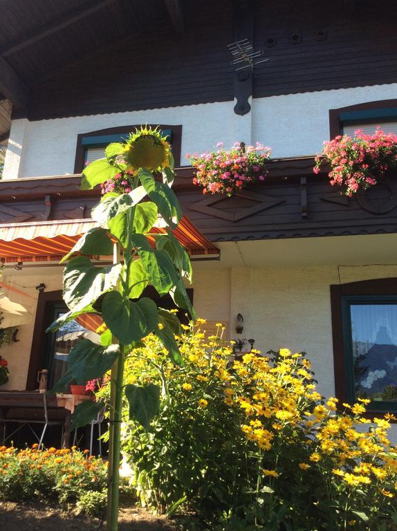 Ferienwohnung Gerti Kalt Lieserhofen Exteriér fotografie