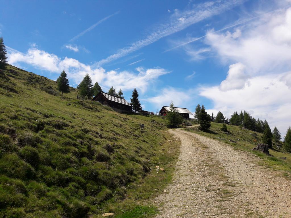 Ferienwohnung Gerti Kalt Lieserhofen Pokoj fotografie